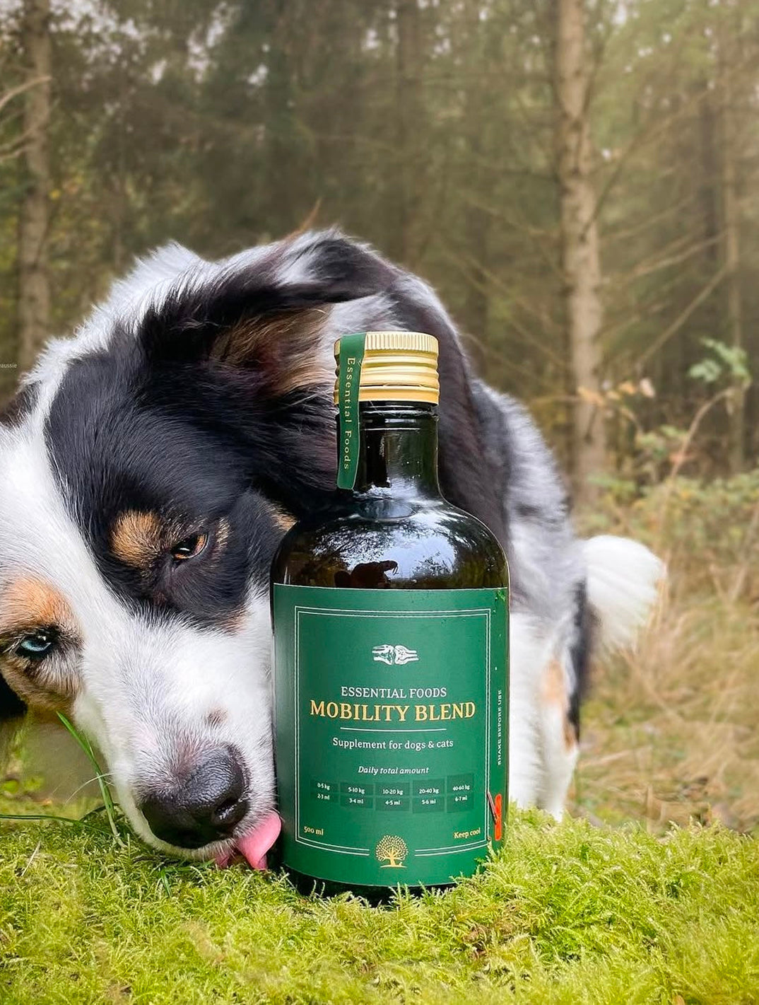 Essential The Mobility Blend 500ml