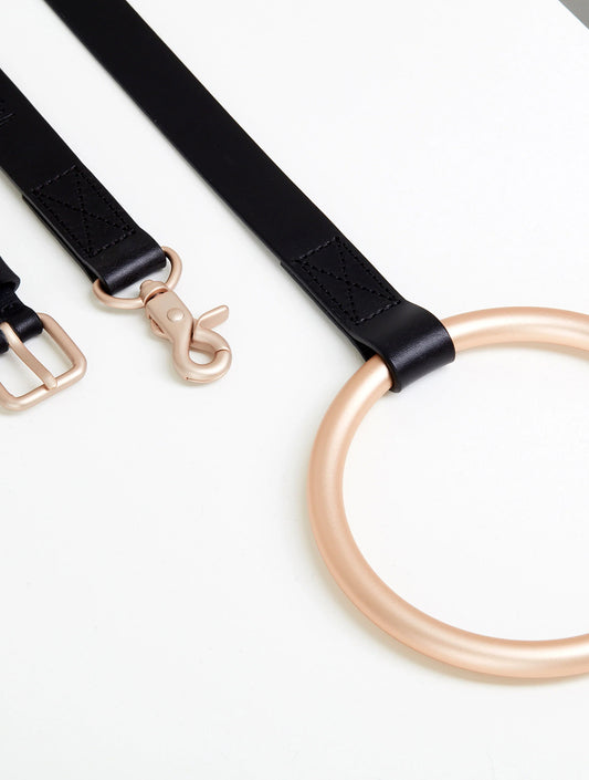 Lumi Leash and Collar Set - Black