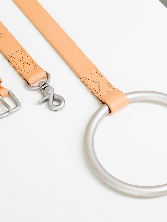 Lumi Leash and Collar Set - Tan