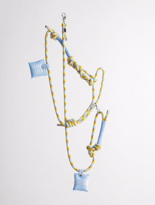 Bold Set - Lemongrab