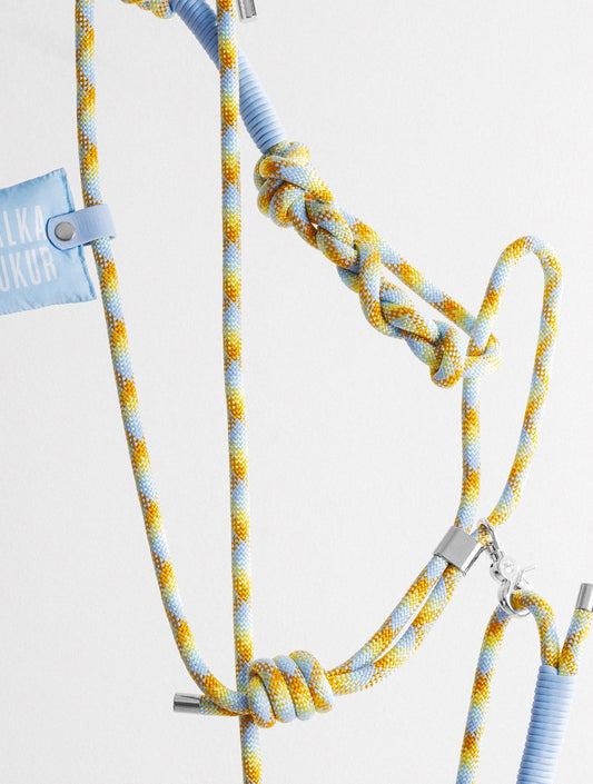 Bold Set - Lemongrab (hover)