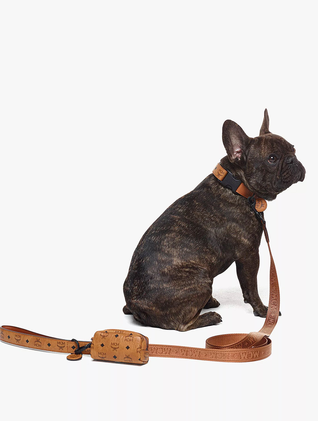 Pet Litter Bag Holder In Visetos