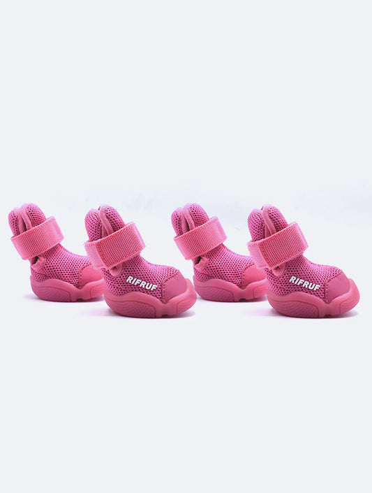 Caesar 1 - Raspberry