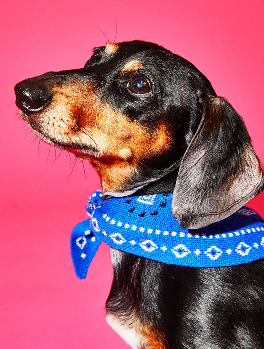 Knit Bandama Scarf - Blue (hover)