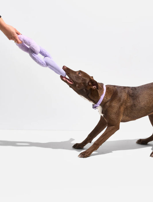 Chew Chain - Lilac (hover)