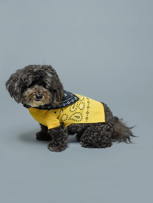 Knit Bandama Scarf - Black (hover)