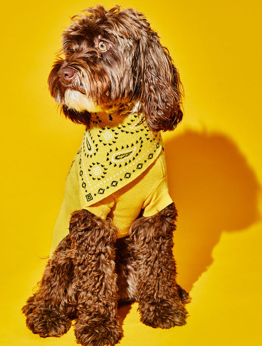 Knit Bandama Scarf - Yellow (hover)