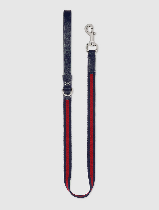 Small/Medium Pet Leash - Blue and Red
