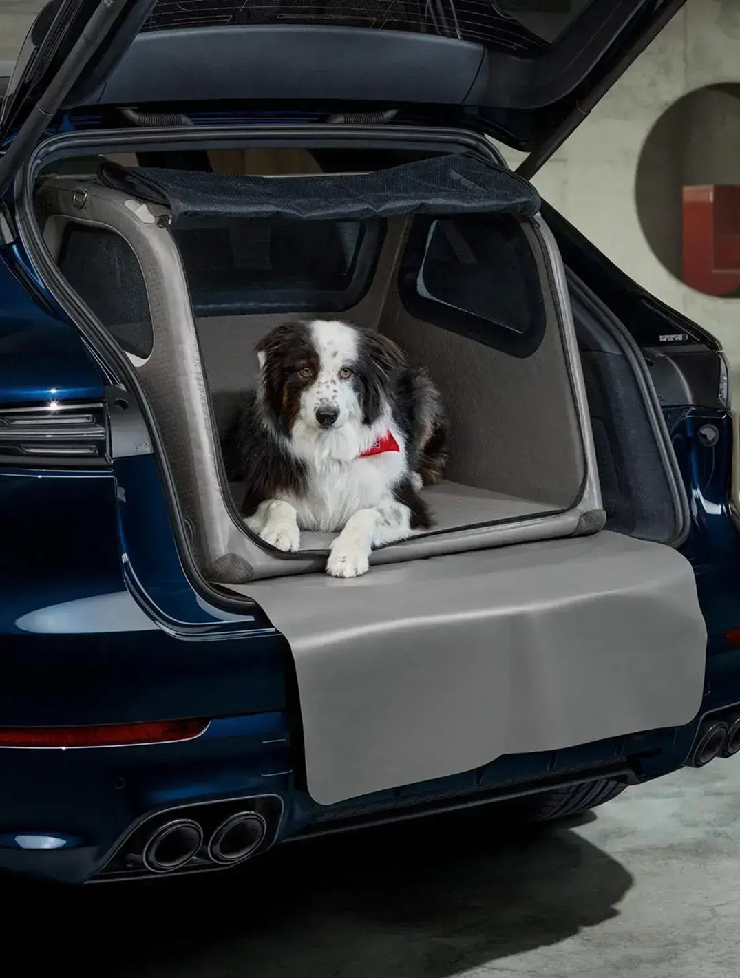 Porsche Luggage Compartment Box for Dogs