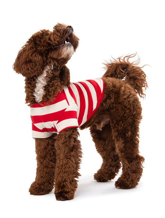 Calypso T-Shirt - Red and White (hover)