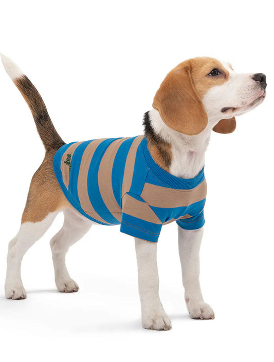 Calypso T-Shirt - Blue and Beige (hover)