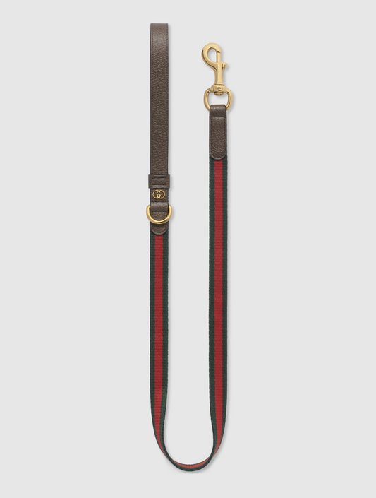 Small/Medium Pet Leash - Green and Red