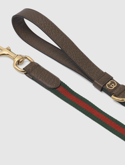 Large Pet Leash - Green and Red (hover)
