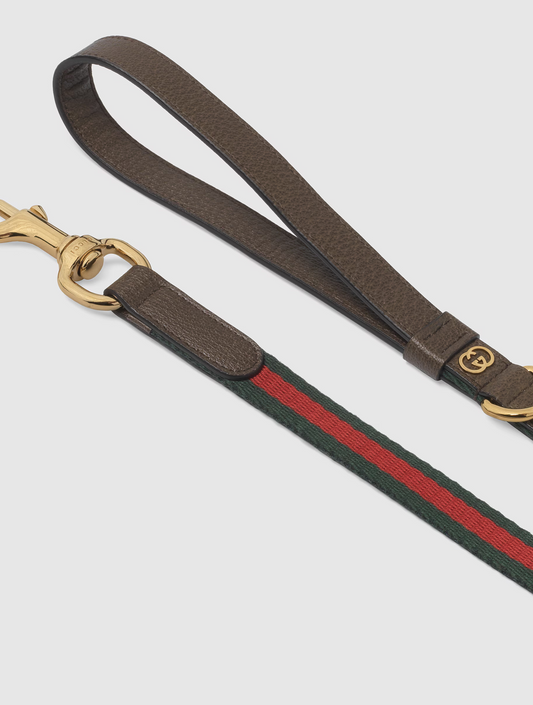 Small/Medium Pet Leash - Green and Red (hover)