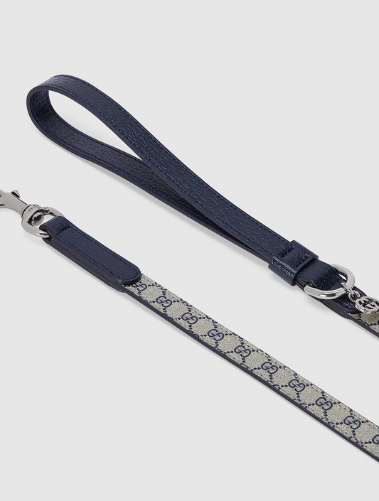 Large Pet Leash - Beige and Blue (hover)