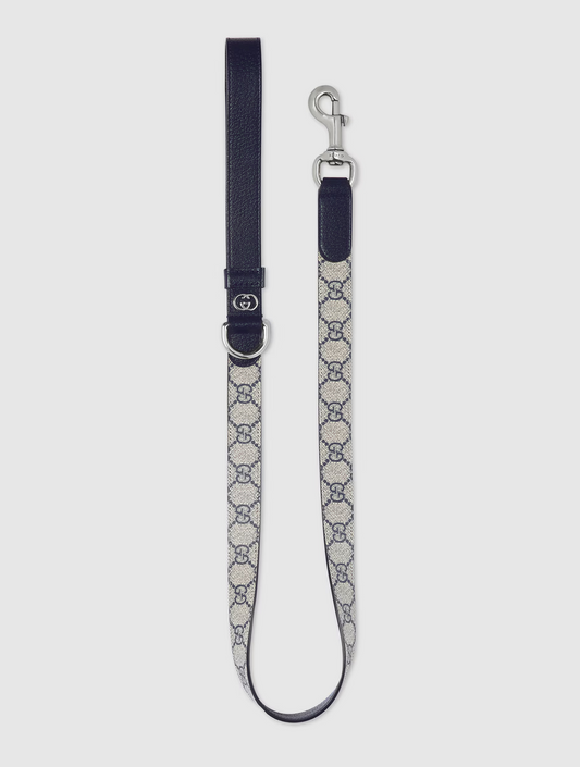 Large Pet Leash - Beige and Blue