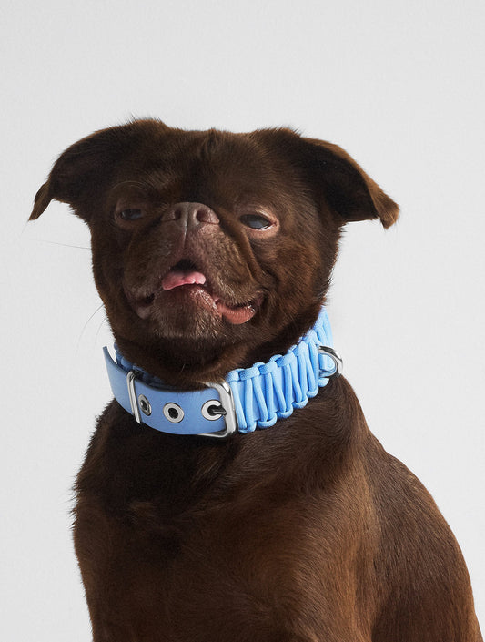 Galan Collar - Baby Blue (hover)