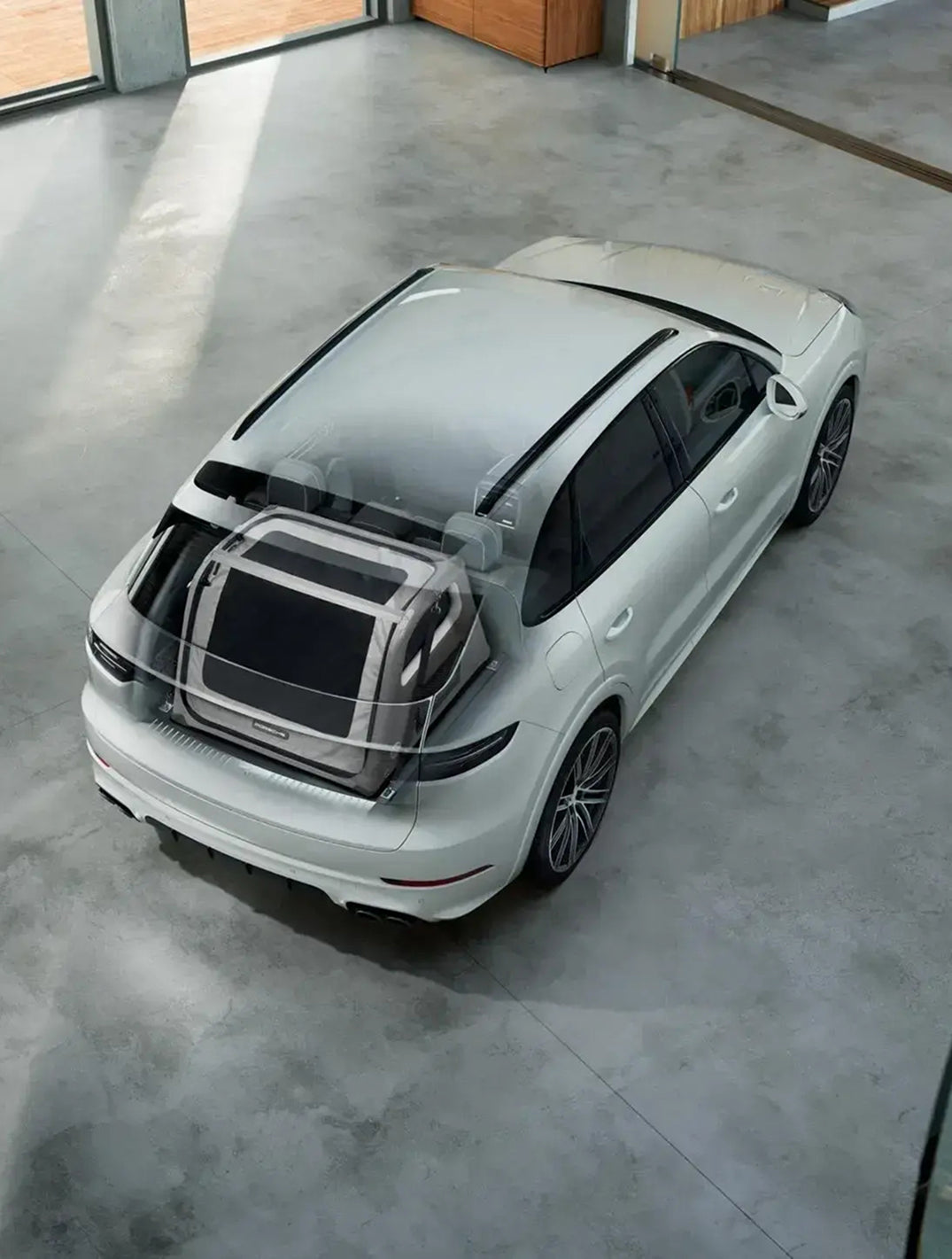 Porsche Luggage Compartment Box for Dogs