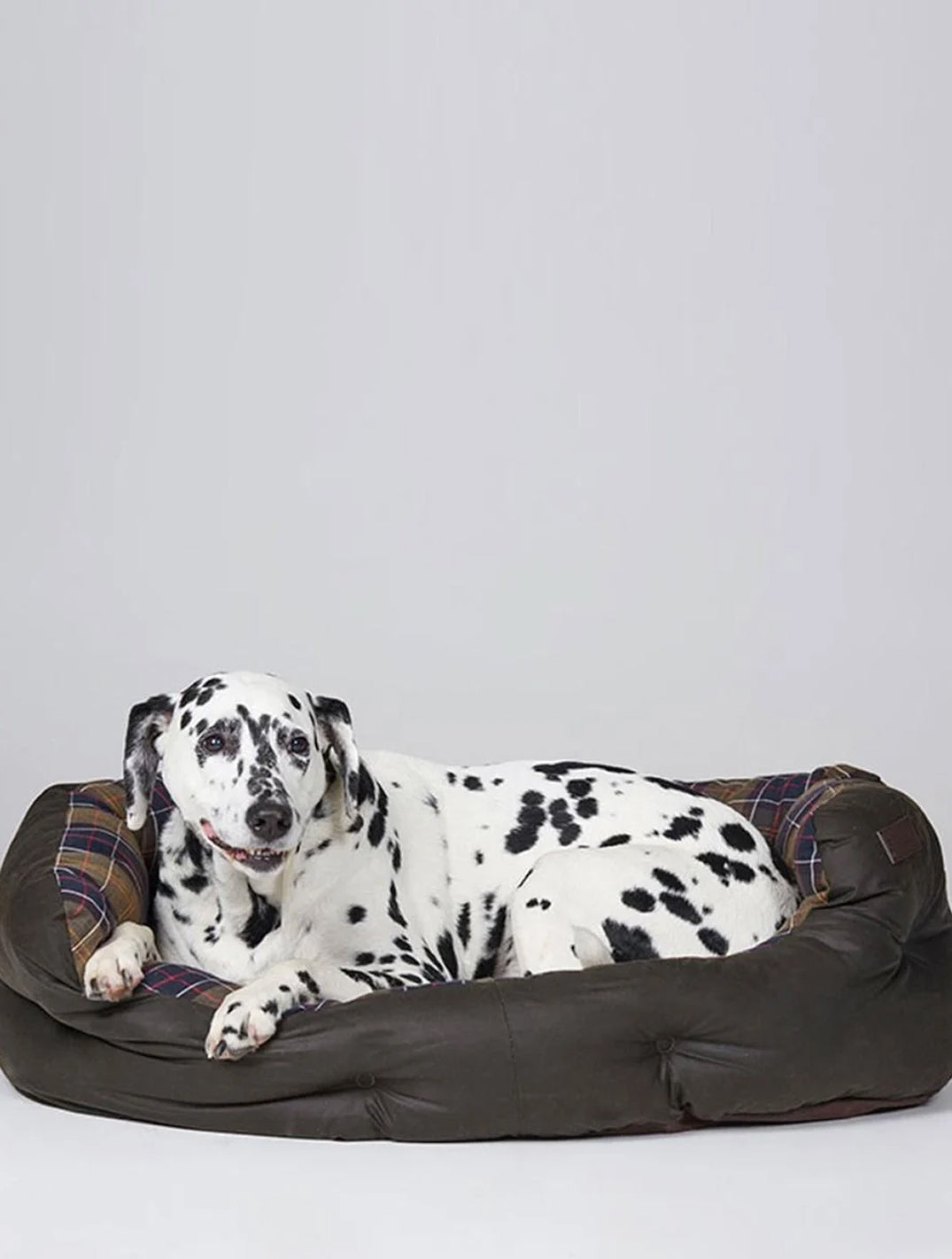 Wax / Cotton Dog Bed