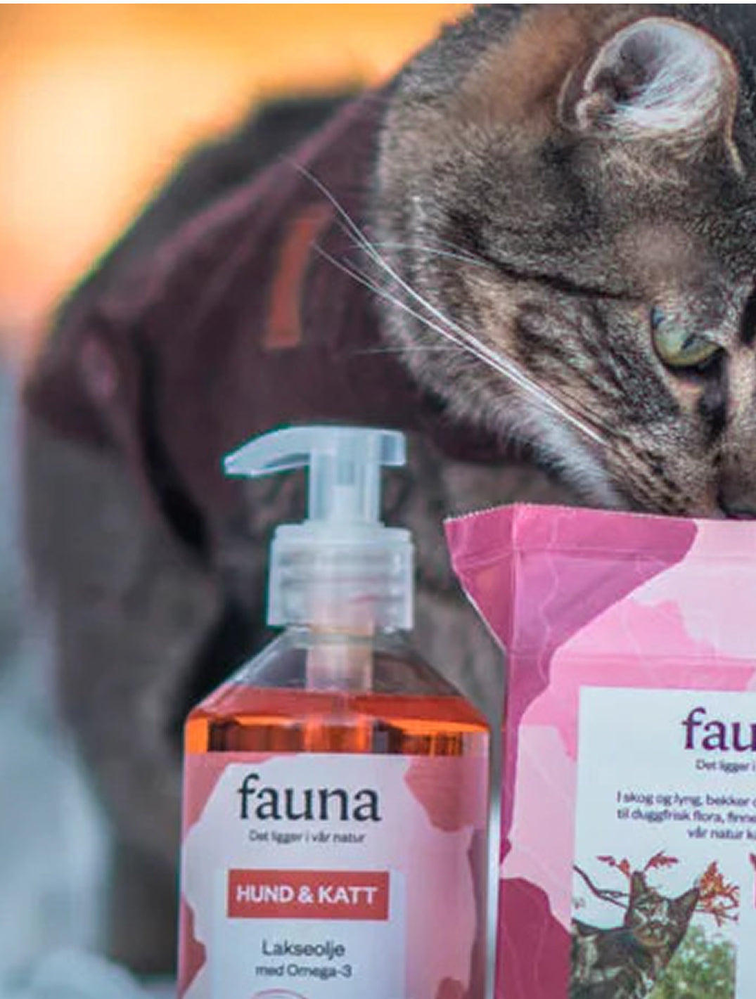 Fauna Norwegian Salmon Oil 300ml