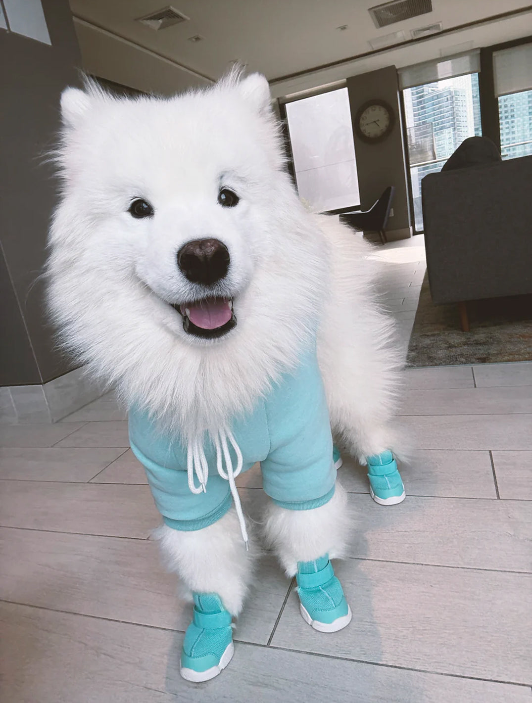 Aqua