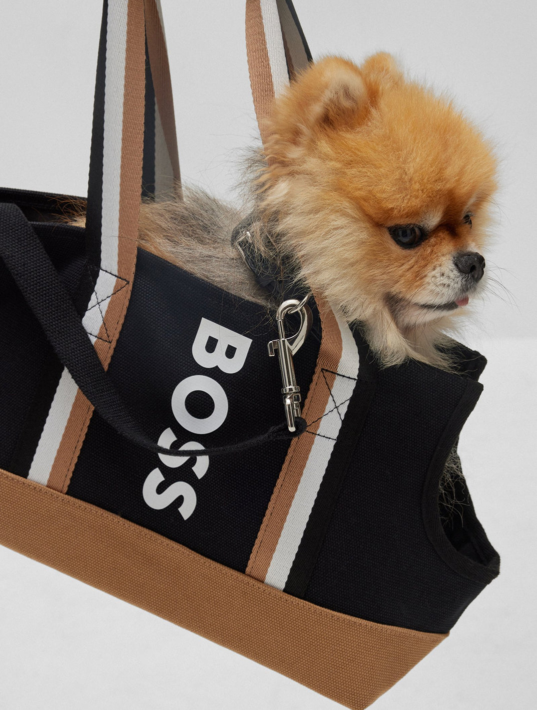 Logo Cotton- Canvas Tote Bag For Dogs