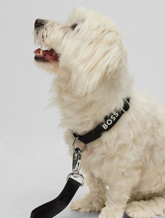 Dog Collar With Jacquard Logo Detailing - Black (hover)