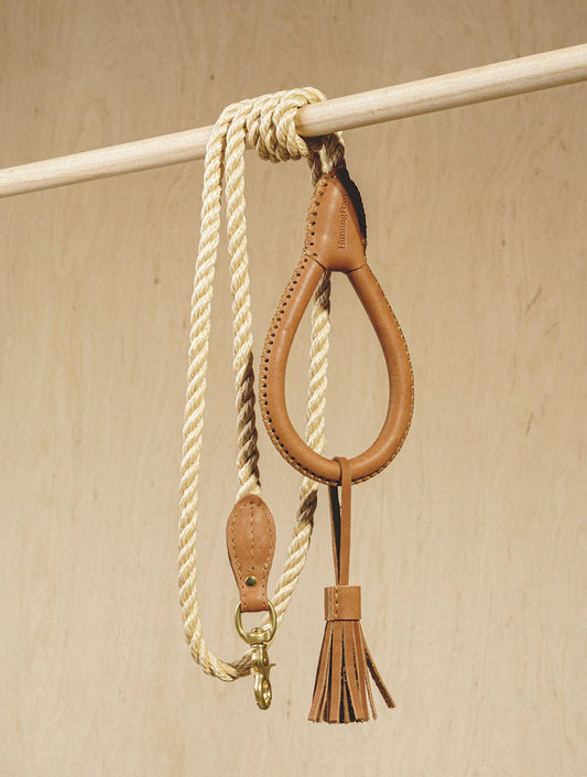 Walk Kit: Country Leash + Collar - Ginger