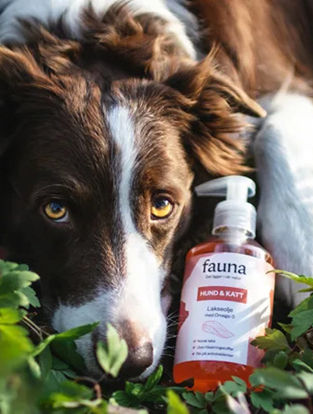 Fauna Norwegian Salmon Oil 300ml