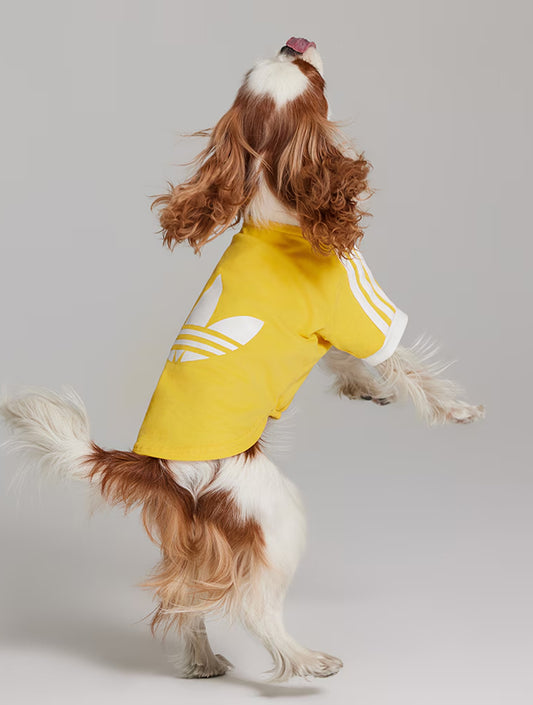 Limited Edition Pet Cali Tee - Yellow (hover)