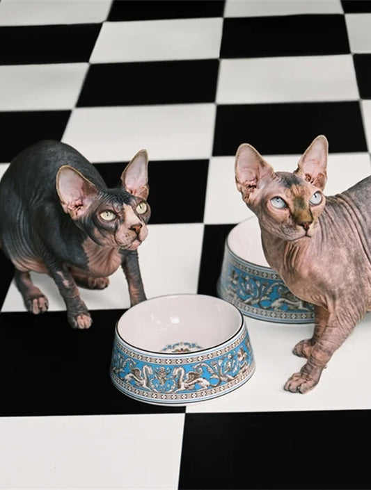 Florentine Pet Bowl - Turquoise (hover)