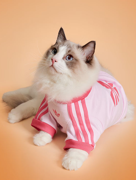 Limited Edition Cat Cali Tee - Pink (hover)