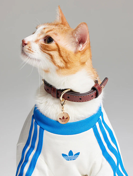 Limited Edition Cat Cali Tee - Blue (hover)