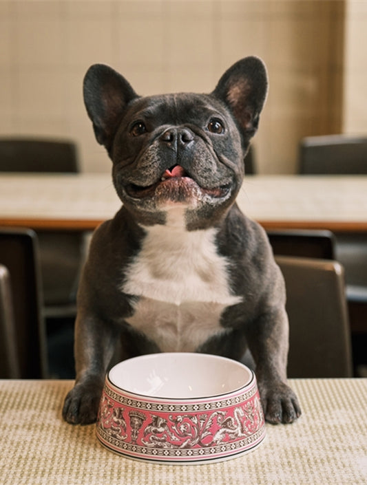 Florentine Pet Bowl - Fuchsia (hover)