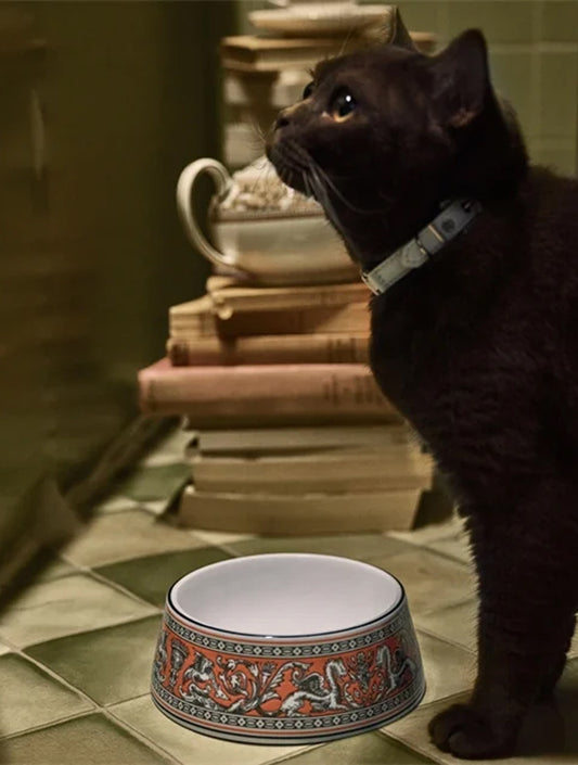 Florentine Pet Bowl - Salmon (hover)