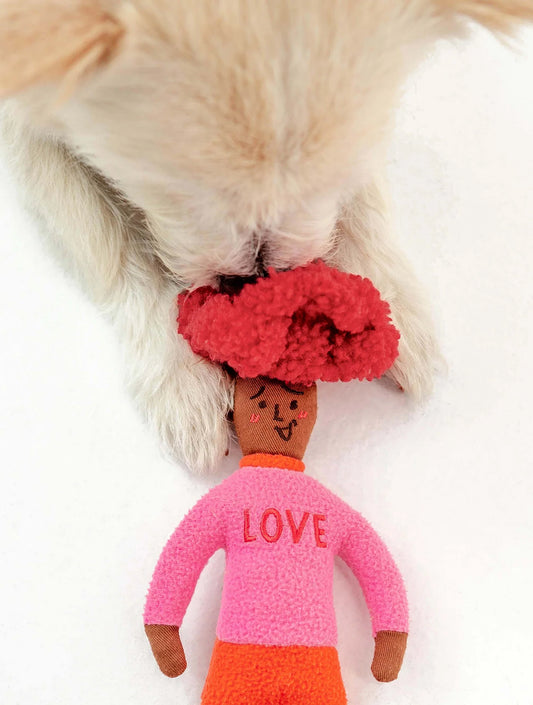 Hooman Nosework Toy - Love (hover)