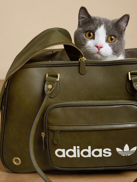 Limited Edition Cat Carrier Shoulder Bag - Dark Green (hover)