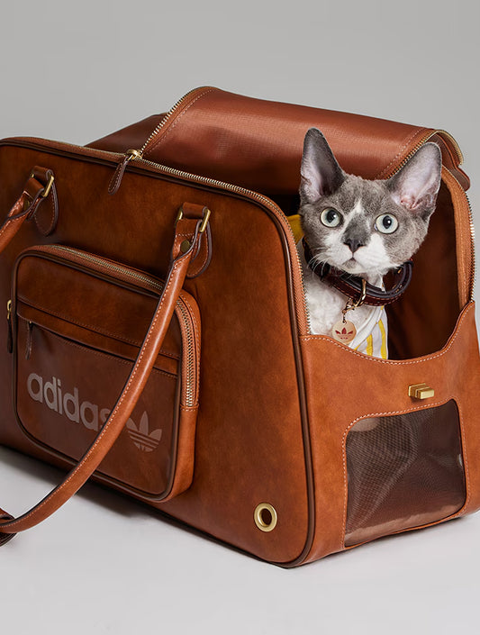 Limited Edition Cat Carrier Shoulder Bag - Brown (hover)