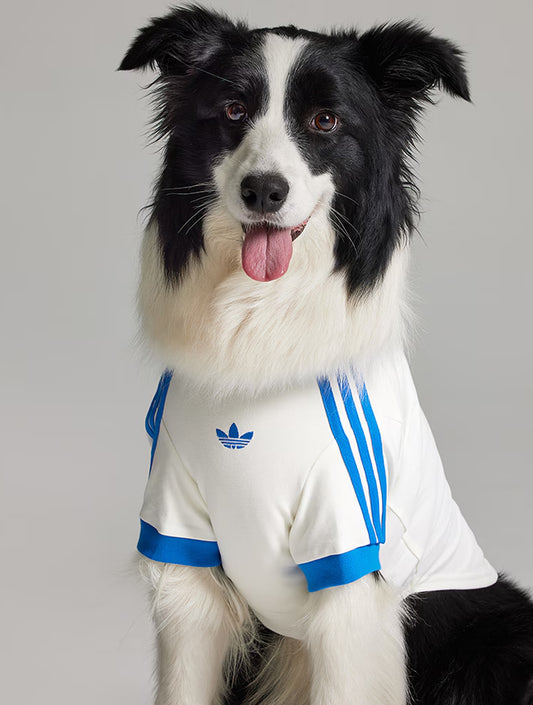 Limited Edition Pet Cali Tee - Blue (hover)