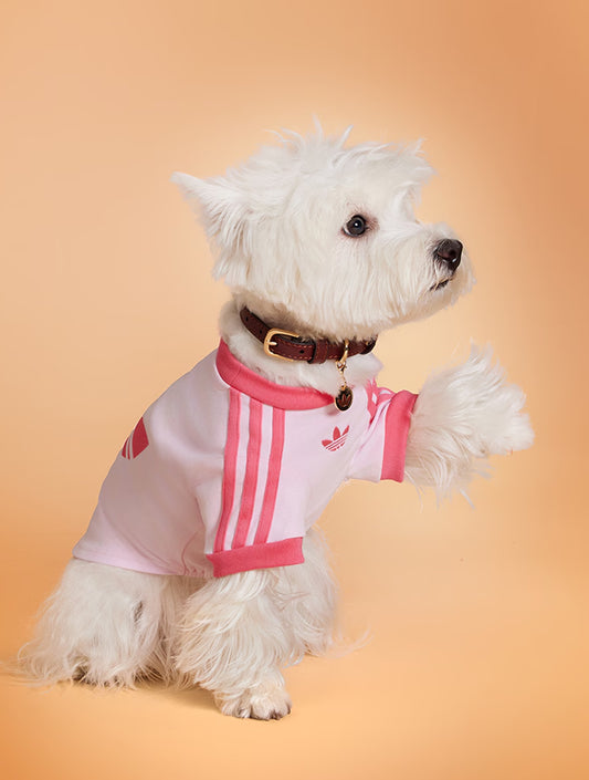 Limited Edition Pet Cali Tee - Pink (hover)