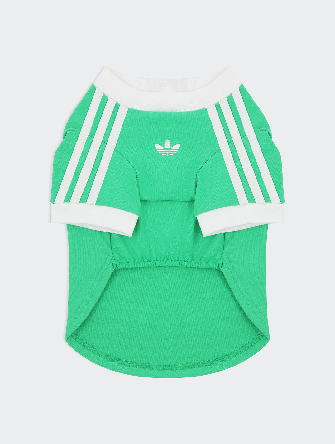 Lime Green