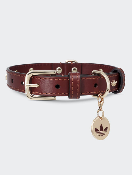Limited Edition Adidas Pet Collar - Brown