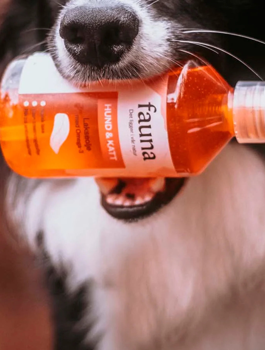 Fauna Norwegian Salmon Oil 300ml
