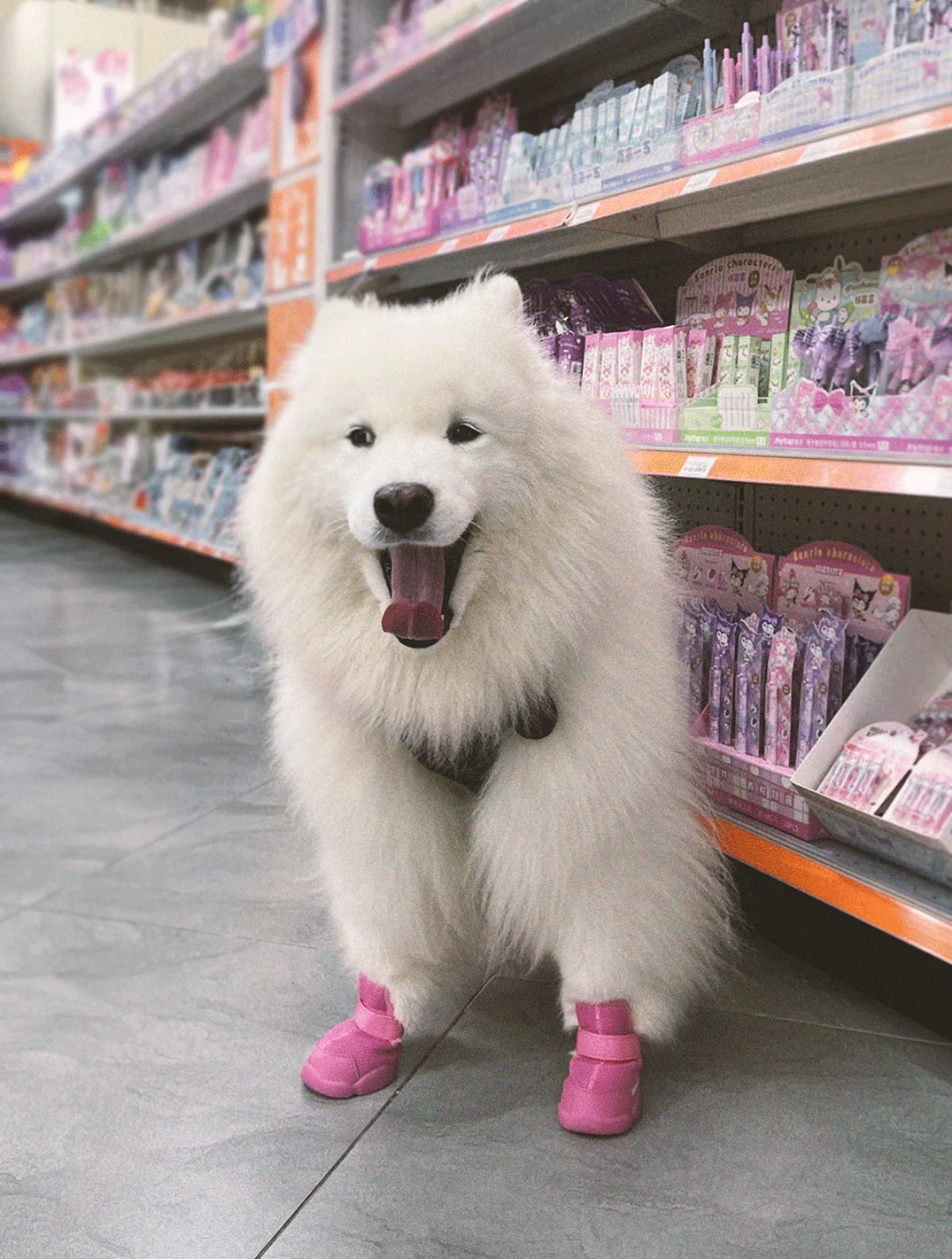 Raspberry