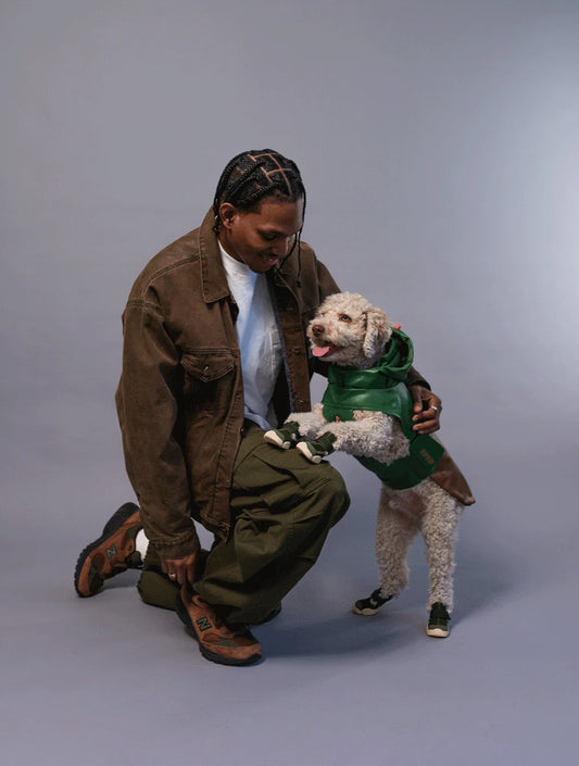 Caesar 1 - Birch (hover)