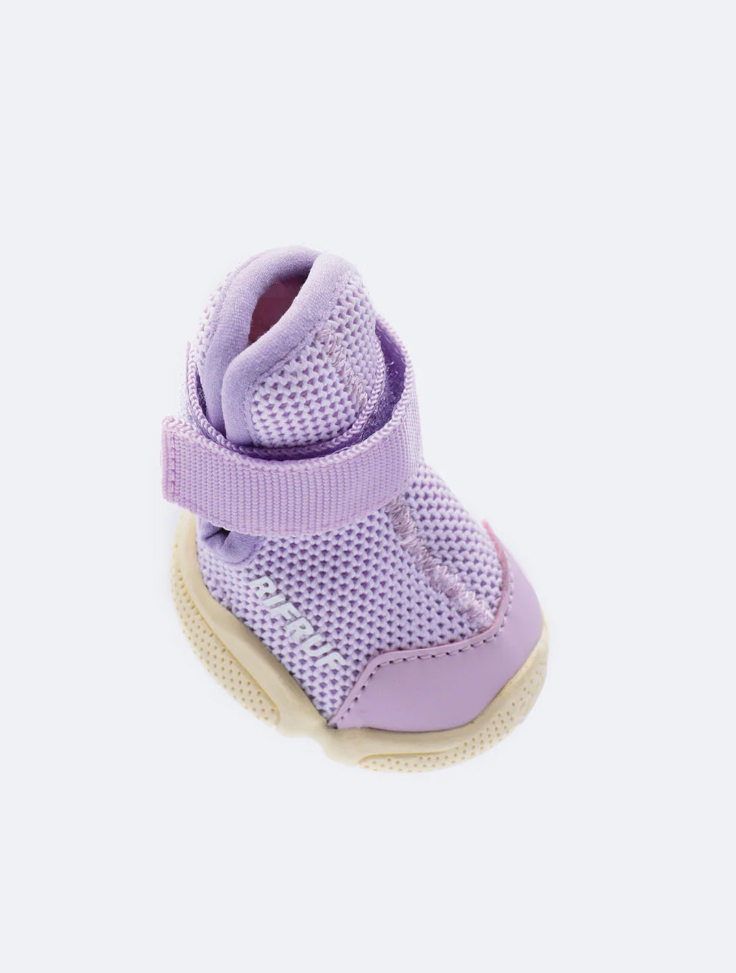 Taro