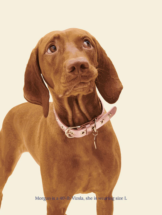 You Mean The World To Me - Pink (hover)