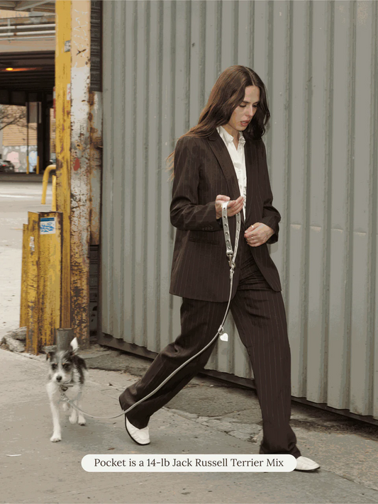 You Mean The World To Me Leash - Silver (hover)