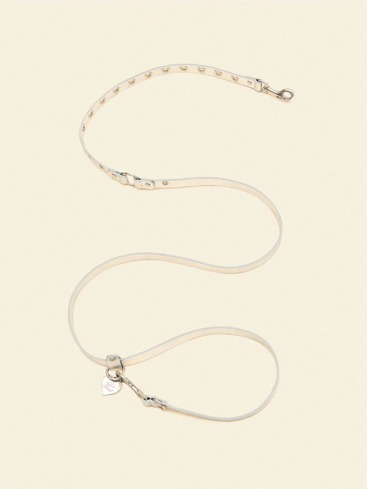 You Mean The World To Me Leash - Silver