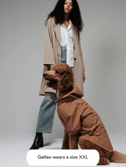 Talon Raincoat - Camel (hover)
